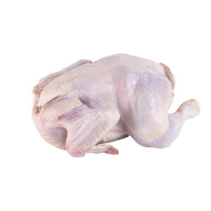 Frozen Chicken 500gm/900gm/1000gm/1200gm